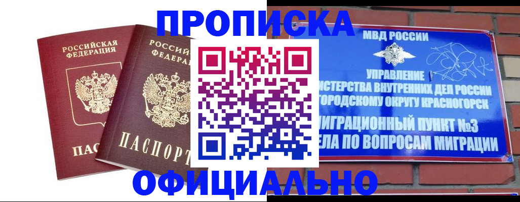 временная регистрация адрес в Щёлково